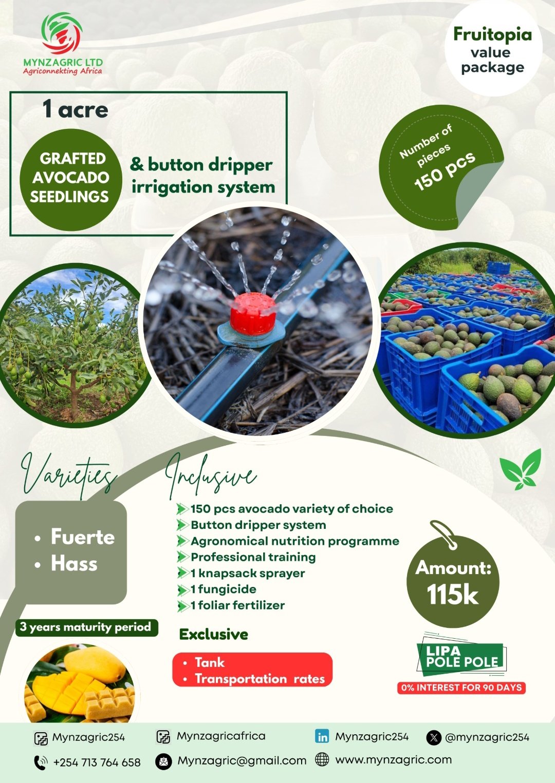 Importance of Drip irrigation on fruit trees